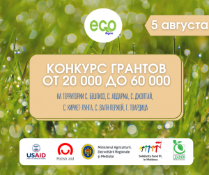 Возможность финансирования Грантов до 60 000 леев